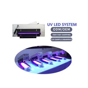 Grosir disesuaikan ukuran hemat energi cetakan UV LED flexo lampu menyembuhkan unit dan mesin lem