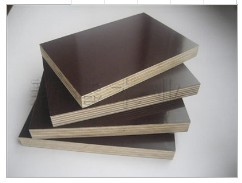 Giá Tốt Nhất Của <span class=keywords><strong>Lvl</strong></span> Giàn Giáo Ván <span class=keywords><strong>OSHA</strong></span> Nhiều Lớp Gỗ Giàn Giáo Hội Đồng Quản Trị - Product Image 2