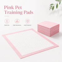 Tapis d'apprentissage pour chiots roses OEM super absorbants et jetables pour l'apprentissage de la propreté en intérieur et la protection de la maison