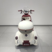 Scooter électrique de mobilité à 3 roues pour adultes Trike électrique de passager pour personnes âgées Prix bon marché Trike Batterie au plomb