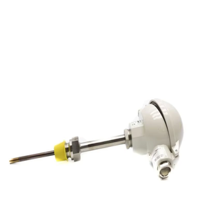 Controlador Lógico Programable (PLC) A1W1G1W1S1D6P2wbrB2B1H5/OPT NSNP Nuevo Original en Existencia, PLC Dedicado para Automatización Industrial - Product Image 1