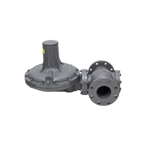 Régulateur de gaz à ressort de capacité Amco Fiorentini - Product Image 3