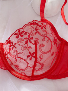 ชุดชั้นในเซ็กซี่สีแดงแบบซีทรู 2 ชิ้น สำหรับผู้หญิง  คอลเลคชั่นฤดูใบไม้ร่วง  บราตาข่ายปักลาย  พร้อมกางเกงใน - Product Image 5