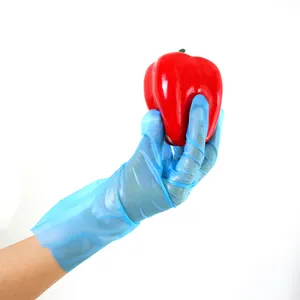 Disposable Hdpe Ldpe Cpe Tpe Vinyl Pe Glove Hot Selling Food Grade Powder Free Polyethylene Glove