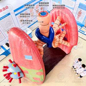 Modelo Inflável de Coração Gigante para Eventos Médicos, Modelo Inflável de Corpo Humano para Câncer, Modelo Inflável de Cérebro e Cólon - Product Image 2