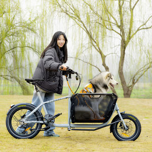 La Más Nueva Bicicleta de Carga Familiar de Dos Ruedas para Trayectos Diarios - Product Image 5