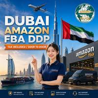 Agent de fret aérien DDP pas cher de Dubaï (EAU) de Chine à Amazon FBA, service d'expédition porte-à-porte rapide, agent logistique