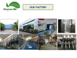 Оптовая продажа, Лучшая цена, бесплатный образец, органический порошок экстракта листьев карри - Product Image 5