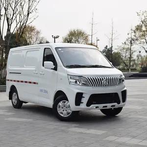 NEW 2022 Hongyuan EM60 Electric Car NEDC 284KM New Energy vehicle High Speed mini van New In Stock 4 door 2 seat minibus Ev Car