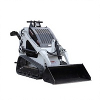 Prix usine CE EPA Mini-chargeuse sur pneus agricole pour vergers avec moteur diesel Briggs & Stratton et godet de 0,12 m³