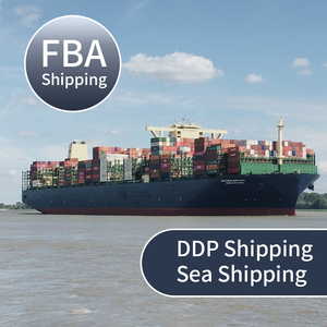 Cheapest DDP DDU Door to Door Air Sea <b>Freight</b> Forwarder Shipping <b>Agent</b> From China to USA Mexico UK Europe - Product Image 3