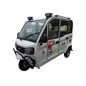 Hot Selling And Good Quality Tuktukmoto Carga Peca for Adult