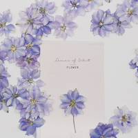 12 Pezzi/Sacchetto Fiori di Delphinium Pressati per Candele e Saponi Fai-da-Te, Fiori Naturali Essiccati Ecologici