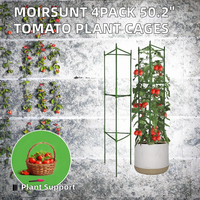 Soporte de Jardín para Plantas, Jaula de Tres Patas para Tomates, 80 cm, para Huertos y Jardines Exteriores