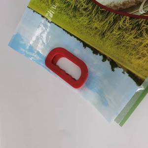 Tùy chỉnh Hàn Quốc <span class=keywords><strong>PP</strong></span> dệt 5kg 10kg đóng gói thiết kế túi gạo với tay cầm bằng nhựa - Product Image 2