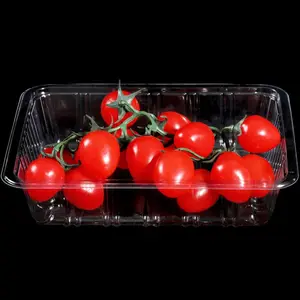 Factory Clear Disposable Plastic Food Tray Food Grade PET Rectangle Fruit Tray Cake Toast Vegetable Container Without Cover