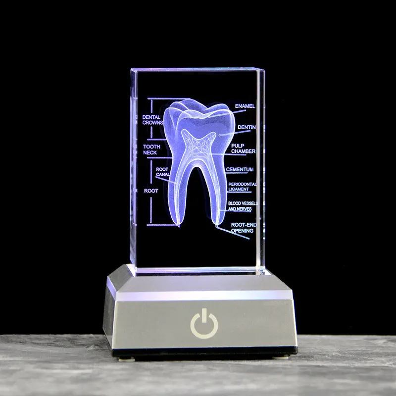 Lampu meja kristal Led berukir 3D, lampu malam hari untuk dokter gigi dan dokter