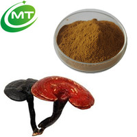 Extrait de Ganoderma de haute qualité, polysaccharides de Reishi, poudre d'extrait de champignon Reishi