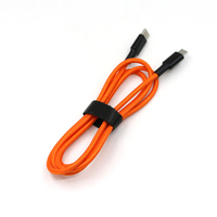 Câble de données USB-A vers Type C 2A pour la charge de base des iPhone 16 et 17 (OEM/ODM)