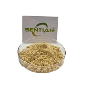 Bởi <span class=keywords><strong>UV</strong></span> 20% ginsenosides đen Hàn Quốc Nhân Sâm thân cây/leavf chiết xuất ginsenosides bột - Product Image 1