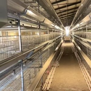 Fornitura Diretta dalla Fabbrica: Gabbie a Batteria per Galline Ovaiole al Miglior Prezzo, Pollaio Zincato con 5 Anni di Garanzia - Product Image 4