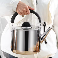 Casserole à induction pour la maison et l'extérieur, chauffe-eau, bouilloire à sifflet, théières, bouilloire à eau chaude, bouilloire en acier inoxydable