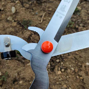 Tijeras para cortar setos de doble propósito, hoja de acero inoxidable de 45-60 cm para podar plantas de jardín y recortar césped, color gris - Product Image 2