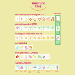 American Mahjong Sunshine Tiles, Florida Style Single Layer White Hand Painted Acrylic Mahjong Set, 160 Tiles for <b>Entertainment</b> - Product Image 5
