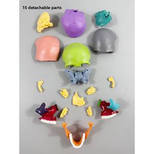 Modèle <span class=keywords><strong>de</strong></span> crâne en PVC coloré, 15 pièces détachables, 1/2 taille, petit modèle <span class=keywords><strong>de</strong></span> squelette - Product Image 5