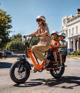Vélo Électrique Yeestep en Stock pour la Vente en Gros, Vélo de Famille, Vélo des Neiges, Sport Électrique, Plage, Sable, Montagne, Tout-Terrain, 7 Vitesses, Vélo Cargo Électrique - Product Image 3