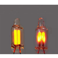 Ampoules de lampe à incandescence pour armoire, ampoule néon avec fils de connexion, base 110/220V 0.4W T2 Mini néon, lumière de signalisation automobile
