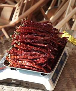 الصين S17 الفلفل الحار المجفف قسط المنتج - Product Image 4