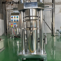 Hoge Kwaliteit Nieuwe Industriële Palmfruitolie Persmachine Semi-Automatische Arachine Sesam Hydraulische Koude Pers Olie-Extractor