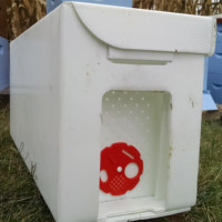 Ruche d'abeilles en plastique Dadant Ruches en plastique ondulé Coroplast Corflute Nuc Box pour l'apiculture