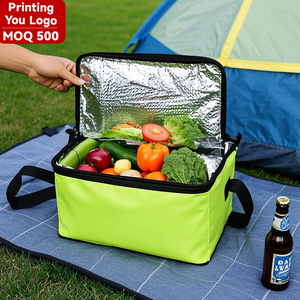 OEM Wholesale Custom logo Small Cooler <strong>Bag</strong> <strong>Travel</strong> Lunch Thermal <strong>Insulated</strong> Cooler <strong>Bag</strong> Non Woven Cooler <strong>Bag</strong> - Product Image 1