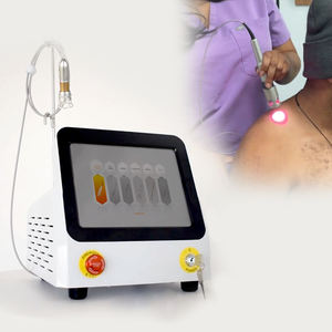Mesin Laser fisioterapi, peralatan terapi nyeri punggung, peralatan Laser Physiotherapy 980nm 60W kekuatan tinggi kelas IV - Product Image 4