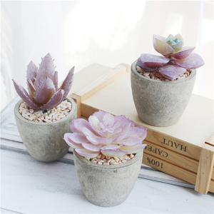 Mini Suculenta Artificial en Maceta de Papel Gris con Componentes de Plástico para Decoración de Interiores/Exteriores, Hogar u Oficina (Color Personalizable) - Product Image 2