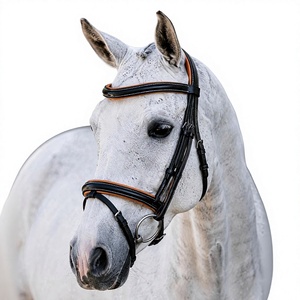 SUFI INTERNATIONAL Brida Inglesa para Caballo de Cuero Genuino Negro y Acero Inoxidable |   Cabezada de equitación para entrenamiento - Product Image 3