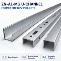 Structure de Canopée sur Mesure pour Projets - Cadre en Acier Revêtu de Zn-Al-Mg pour Allées Couvertes et Toitures de Petits Ateliers - BIPV Commercial