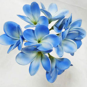 <span class=keywords><strong>PU</strong></span> yapay <span class=keywords><strong>plumeria</strong></span> buket ucuz yapay frangipani çiçekler avustralya yapay <span class=keywords><strong>plumeria</strong></span> çiçekler - Product Image 6