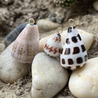 Coquillages coniques hébreux naturels d'Hawaï Conus Ebraeus Pendentif en acier inoxydable DIY Boucles d'oreilles de créateur Charmes de bijoux