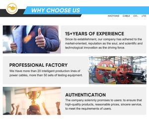 Nhà Máy Giá yjlv22 điện áp cao <span class=keywords><strong>3</strong></span>-<span class=keywords><strong>Core</strong></span> Flat nhôm Cable với GB Armor xlpe cách nhiệt cho truyền tải điện - Product Image 4