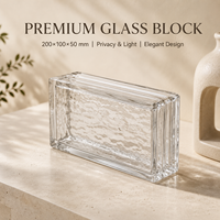 Bloc de verre solide ultra-blanc de luxe contemporain double face effet cristal de glace 200x100x50mm pour cuisine, salle à manger, extérieur, école, hall