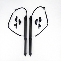 TWT Struts, par de varillas de soporte de elevación de puerta trasera eléctrica, abridor de escotilla eléctrica, puntales de Gas, resorte de Gas para coche 68910-09010