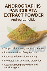 Extracto de Andrographis paniculata natural de suministro directo de fábrica de HGO (grado alimenticio) Andrographolide 20% - 99% (extracto estandarizado) - Product Image 5