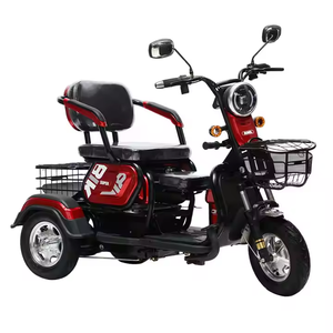 中国制造 500W 电动三轮车，适合老年人，智能代步车，送给妈妈的最佳礼物 - Product Image 2
