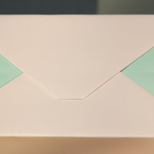 โรงงานผลิตถุงกระดาษเคลือบฟิล์มพิมพ์ลายทั้งใบ คุณภาพสูง เกรดอาหาร พิมพ์ออฟเซ็ต ตามสั่ง - Product Image 2