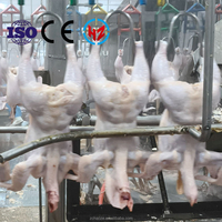 Machine à plumer pour volailles halal, capacité de 300 à 15 000 oiseaux/heure, pour poulets de chair, cailles, avec moteur à roulement et pompe pour haute performance