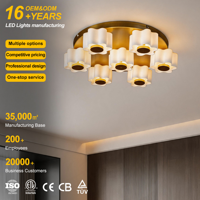 High-end Luxury Design Indoor Decoration for Residential Ceiling Lighting 220V Input Voltage Ra80 CRI Rating Led Ceiling Light