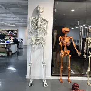 Halloween Supplier Movable Indoor&Outdoor Accessories Props Human Halloween Skeletons For Holidays Decoration